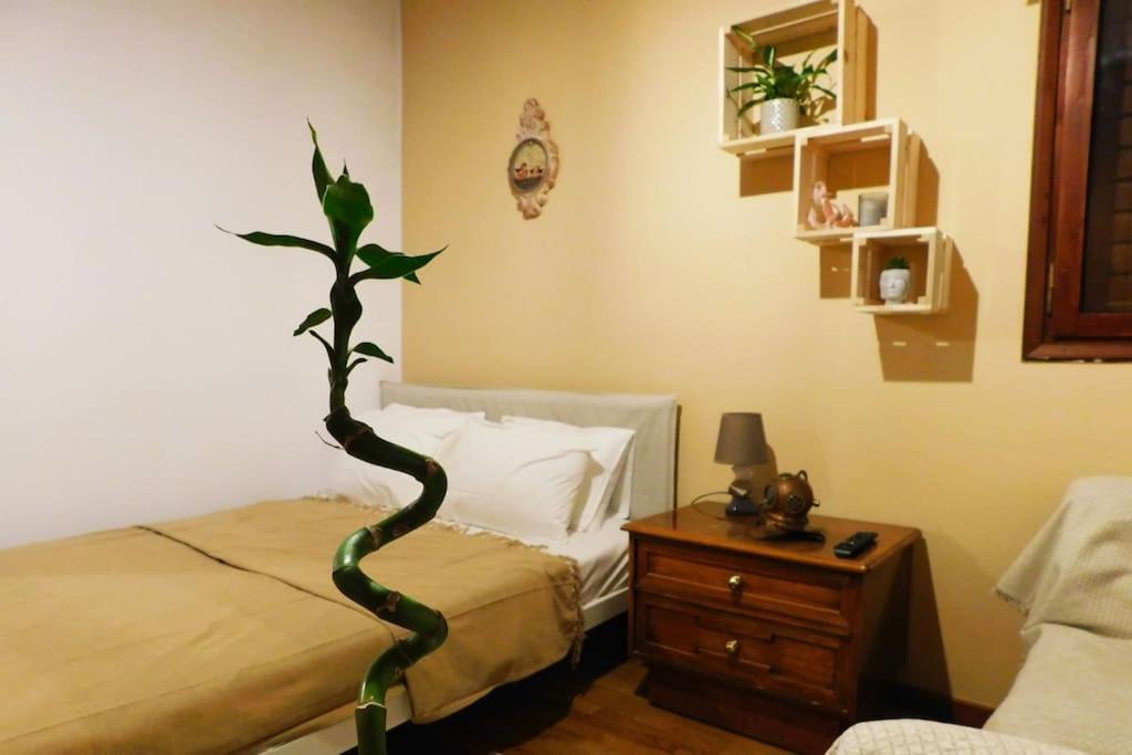 Appartamento Marco Polo'S Mooring Cozy Navy House Anavyssos Esterno foto